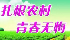 大學生村官選調(diào)生是公務(wù)員嗎？村官選調(diào)生和選調(diào)生什么區(qū)別？有編制嗎？