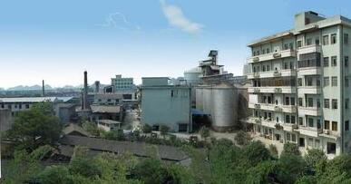 桂林力源集團(tuán)董事長陳身陸還是丁身援？桂林力源糧油食品集團(tuán)領(lǐng)導(dǎo)班子