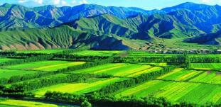 廣西農(nóng)村投資集團(tuán)待遇怎么樣？廣西農(nóng)業(yè)信貸擔(dān)保公司工資多少？中層如何？