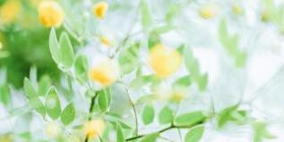 廣西千年傳說榮斌簡歷，杜婷高管領(lǐng)導(dǎo)班子有哪些成員